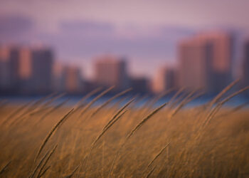 Đà Nẵng lập ba lớp kiểm soát người dân ‘không ra khỏi nhà’