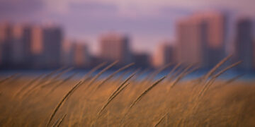 Đà Nẵng lập ba lớp kiểm soát người dân ‘không ra khỏi nhà’